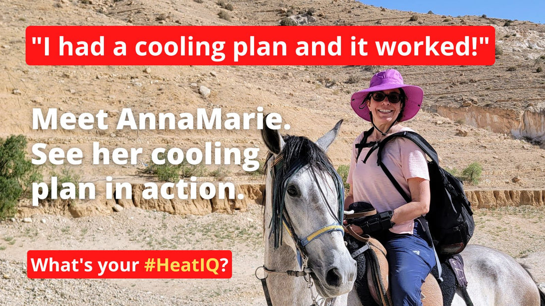 Testimonial - "I had a Cooling Plan and it worked!" - Annamarie