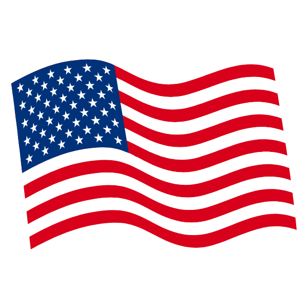 USA Flag icon in color on transparent background